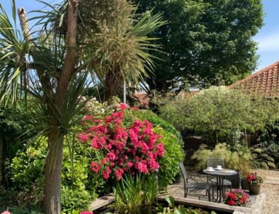 WhatsApp Image 2026-01-16 at 23.03.08 (1)