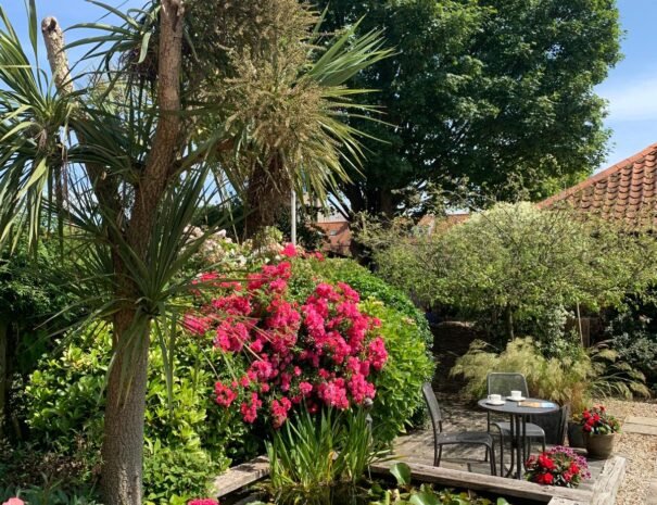 WhatsApp Image 2026-01-16 at 23.03.08 (1)