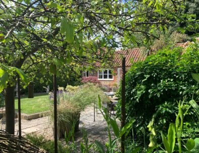 WhatsApp Image 2026-01-16 at 23.03.22