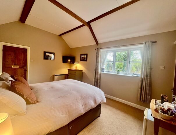 WhatsApp Image 2026-01-16 at 23.08.35